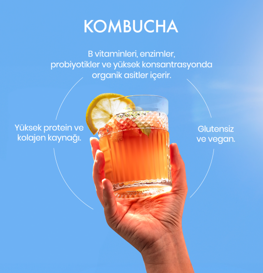 5 Pack Organic Kombucha Tea - 2