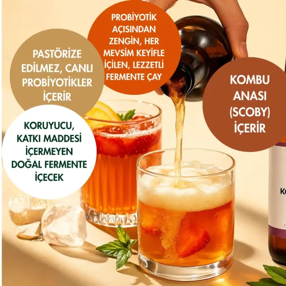 5 Pack Organic Kombucha Tea - 4