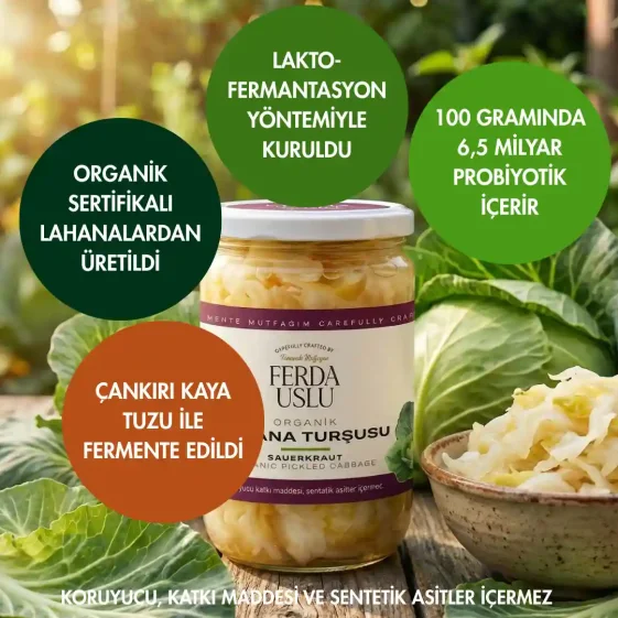 5 Pack Organic Probiotic Pickled Cabbage - 3