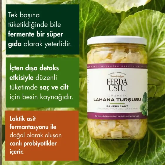 5 Pack Organic Probiotic Pickled Cabbage - 4