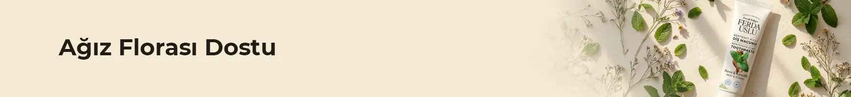 yatay_dismacunu-1.webp