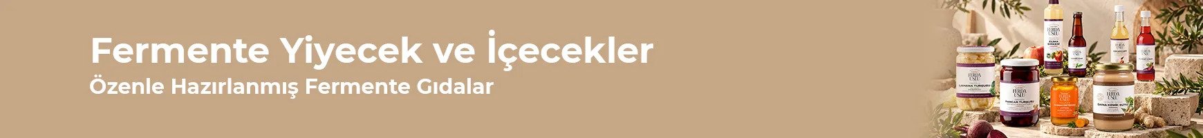 fermente yiyecek ve içecekler