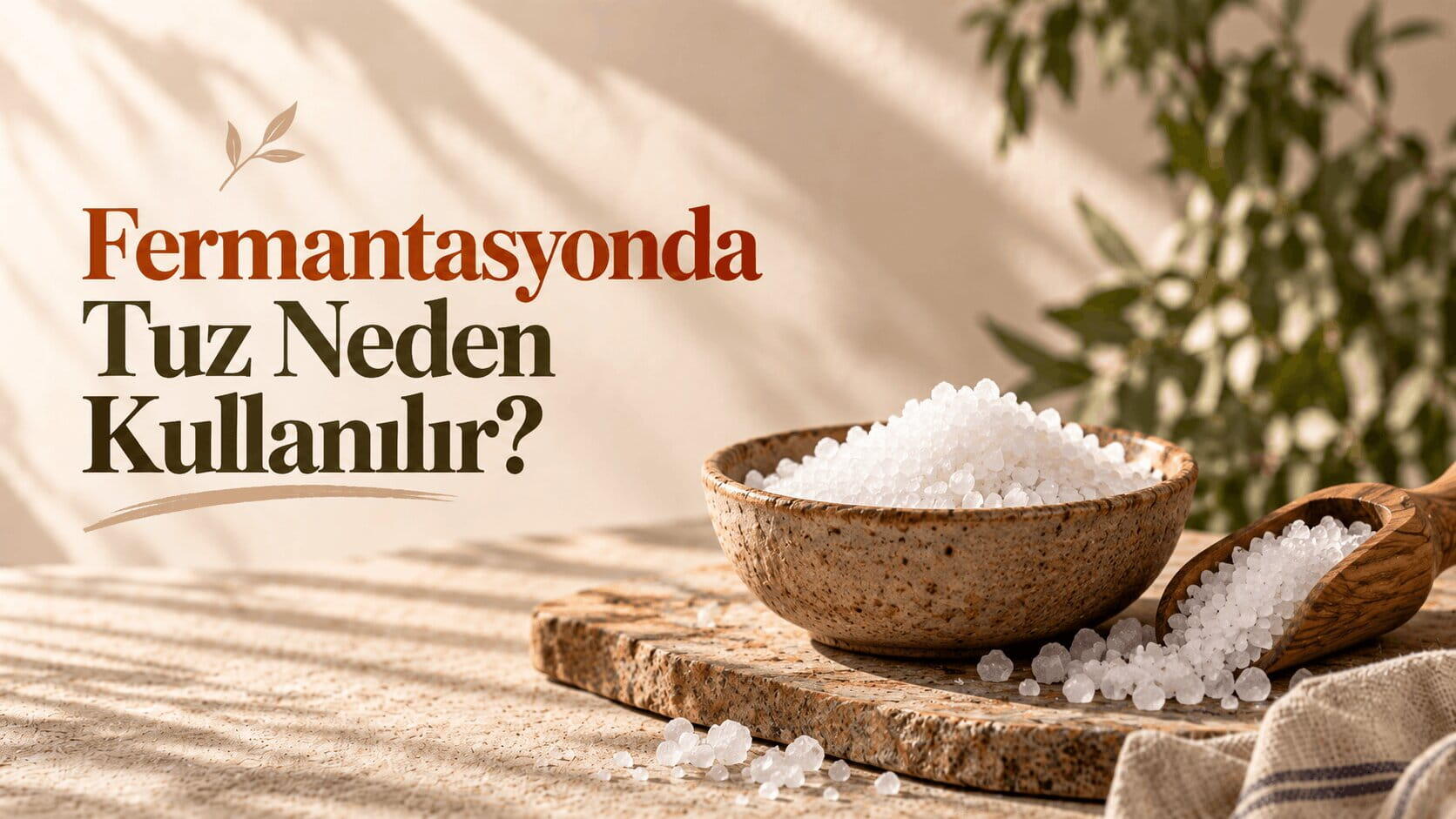 Fermantasyonda Tuz Neden Kullanılır?