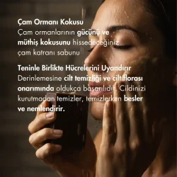 Kastil Çam Katranı Sabun Paketi 3'lü - Doğal Çam Ormanı Kokusu - 4