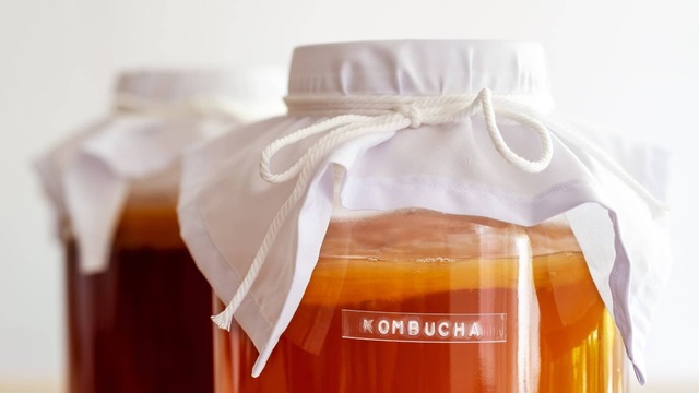 Kombu Çayı (Kombucha Çayı) Nedir, Faydaları Nelerdir?