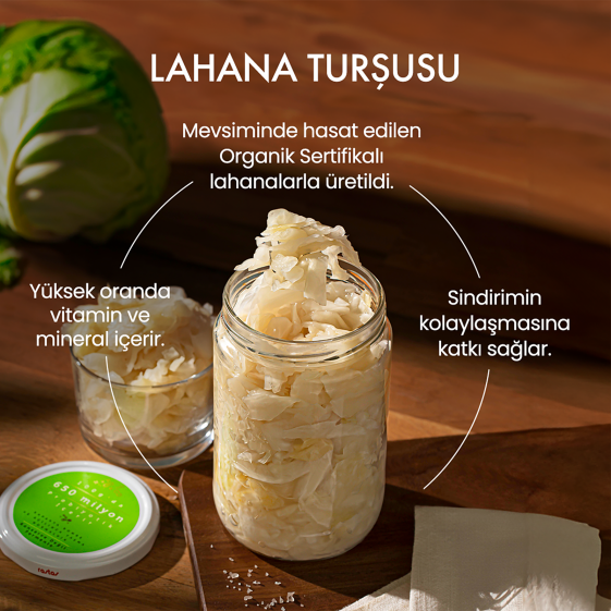 Organik Lahana Turşusu - Lakto Fermantasyon Sauerkraut 600 g - 5