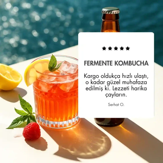 Probiyotik Kombucha 330 ml - 4