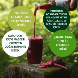 5' Li Pancar Kvass - Kırmızı Pancar + Şalgam + Mor Havuç Lakto Fermente İçecek 330 ml - 3